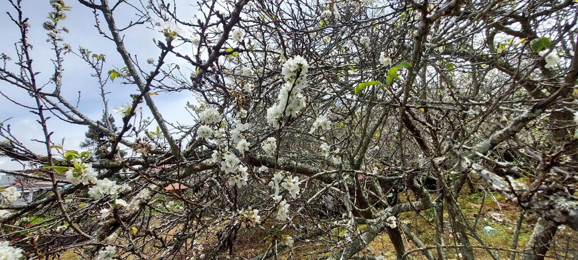 Amman Resorts Kodaikanal Kültér fotó