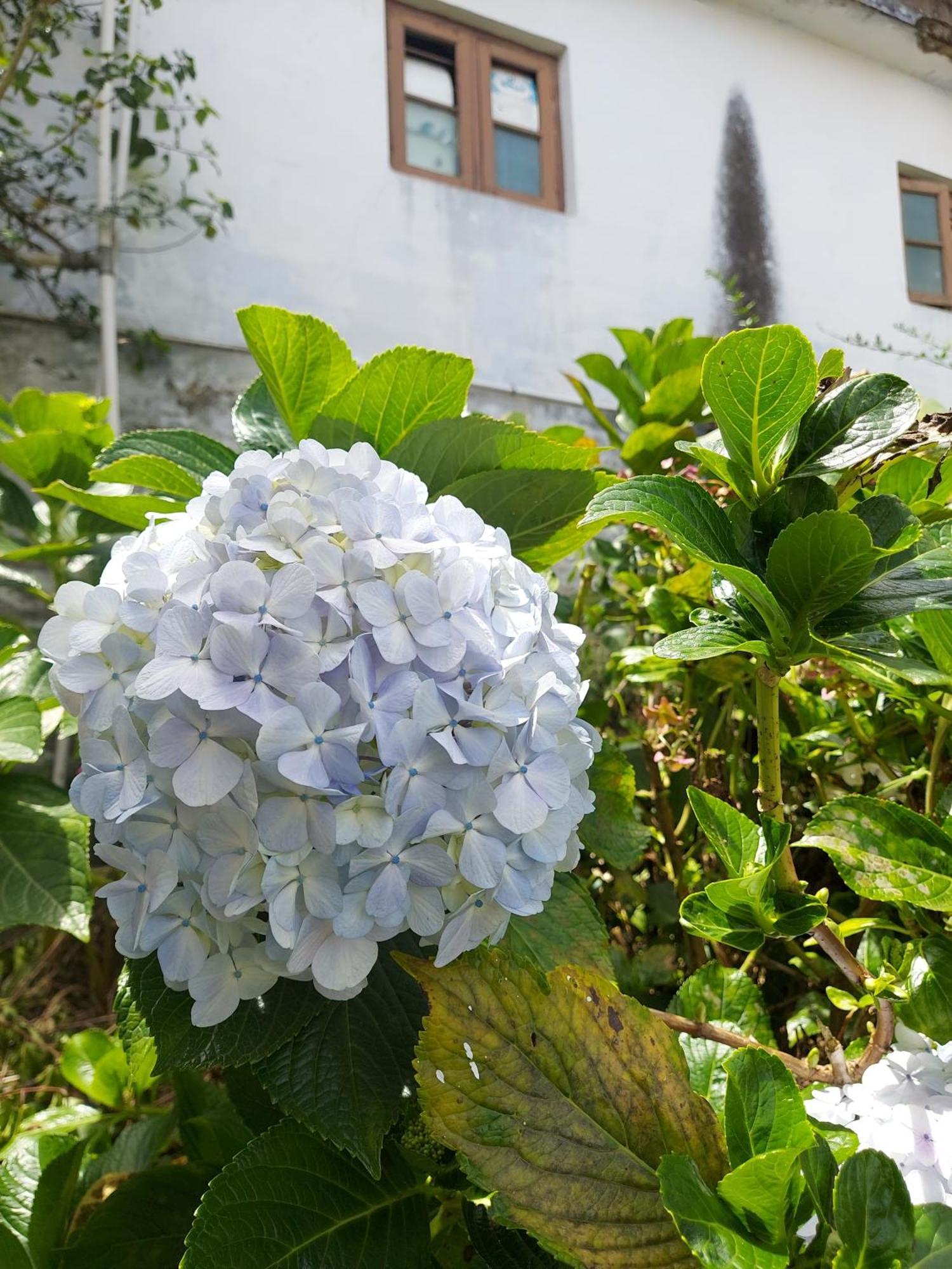 Amman Resorts Kodaikanal Kültér fotó